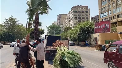 استمرار خطة التشجير وزيادة المساحات الخضراء بالجيزة.. صور