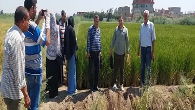 ︎ جامعة قناة السويس تنفذ قوافل تنموية شاملة بقرية التل الصغيرة