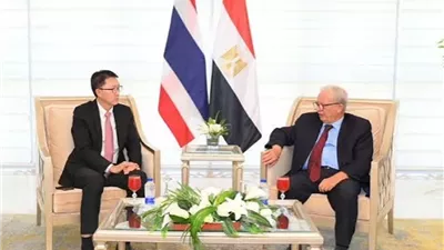 مصر وتايلاند تبحثان تعزيز التعاون الاقتصادي والاستثماري