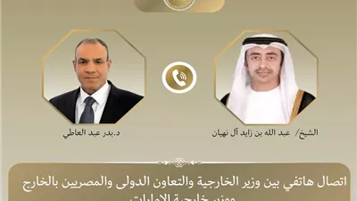 وزيرا خارجية مصر والإمارات يؤكدان ضرورة تخطي التحديات في المنطقة