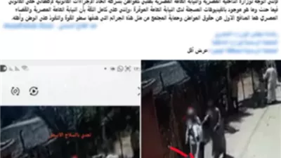 كواليس التعدي على طباخ وشقيقته بالبحيرة وضبط 7 متهمين