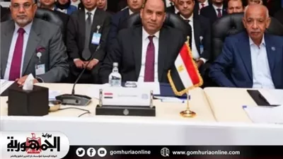 مصر تدعم فتح أسواق العمل العربية وتعزيز الحماية الاجتماعية