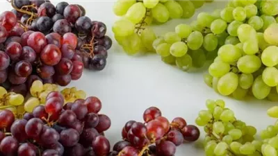 مركب طبيعي من العنب يفتح آفاقًا جديدة لحماية خلايا الدماغ من باركنسون