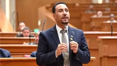 برلماني عن الروابط المصرية السعودية: نموذج راسخ للعلاقات العربية