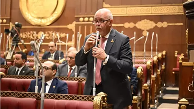 النائب حازم الجندي : القاهرة والرياض تملكان مفاتيح التأثير في الإقليم