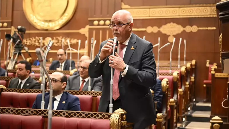 النائب المهندس حازم