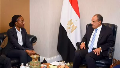 وزير الخارجية يؤكد ضرورة التوصل لتسوية سياسية تحفظ سيادة السودان