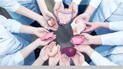 بين الضوابط الطبية والأحكام الشرعية..الإفتاء توضح حكم نقل الأعضاء