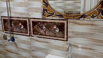 تحيا مصر والأورمان تحتفلان بإعمار قريتين بالدقهلية..صور