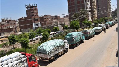محافظ المنيا : توريد 243 الف طن من محصول القمح بالشون والصوامع