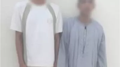 الأمن يلقي القبض على المتهمين بإتلاف محصول سيدة بكفر الشيخ