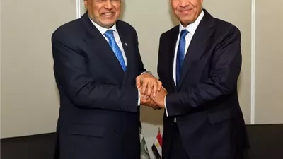 وزير الخارجية يلتقي نائب رئيس الوزراء ووزير خارجية باكستان