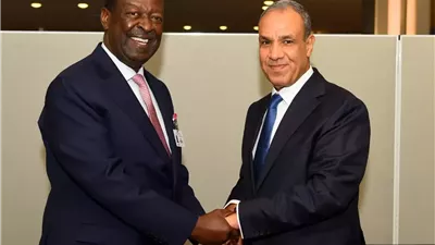 وزير الخارجية ونظيره الكيني يبحثان سبل تعزيز العلاقات الثنائية