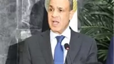 وزير الخارجية يدعو الشركات الأمريكية إلى توسيع استثماراتها في السوق المصرية