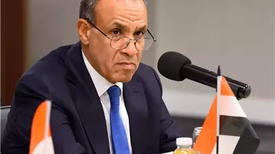 وزير الخارجية يشدد علي ضرورة إنهاء الحرب في غزة
