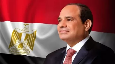 الرئيس السيسي يؤكد ضرورة تعميق الشراكة الاستراتيجية مع قبرص والارتقاء بها إلى آفاق أرحب