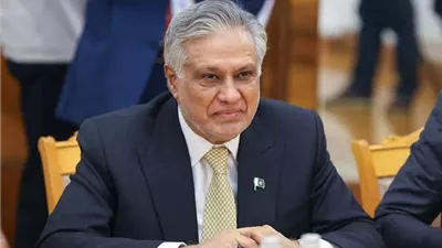 وزير خارجية باكستان يشيد بجهود مصر وامريكا لإنهاء الصراع في غزة