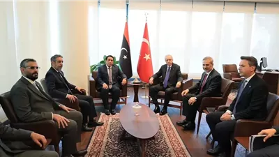 السفير عبد المطلب ثابت: لقاء المنفي وأردوغان يؤكد دعم المسار السياسي الليبي