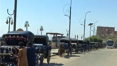 محافظ أسوان يتابع تنظيم منظومة عربات الحنطور بإدفو