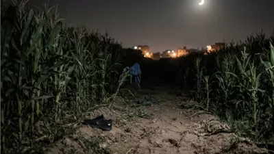 اعترض طريقها ليلاً.. تفاصيل صادمة في مقتل فتاة بشبين القناطر