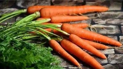ماذا يحدث لجسمك عند تناول جزرة يوميًا؟