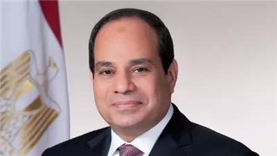 الرئيس السيسي يثمن دور العراق في محاربة الإرهاب والتطرف