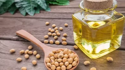دراسة.. ارتباط استهلاك زيت الصويا بارتفاع خطر الإصابة بسرطان المثانة