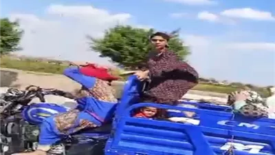 الحبس شهر لـ 3 فتيات .. سرقن الأرز من حقول الشرقية
