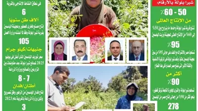 شبرا بلولة.. تضع مصر على خريطة العطور العالمية