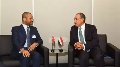مباحثات مصرية عمانية حول أمن البحر الأحمر وباب المندب