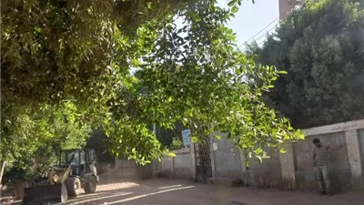 محافظ أسيوط: رفع القمامة من ديروط ضمن حملات النظافة المكثفة