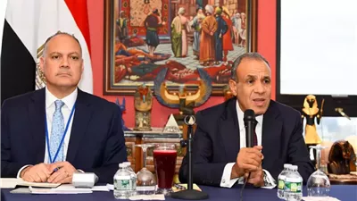 وزير الخارجية يؤكد حرص الدولة على دعم الكفاءات المصرية بالخارج