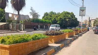 زراعة أحواض الزهور بشارع النيل في إمبابة ضمن مبادرة اتحضر للأخضر