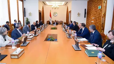 وزير الخارجية يبحث ترتيبات منتدى العلمين أفريقيا وقمة النيباد