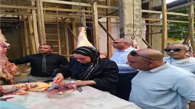 ضبط 1.5 طن لحوم ودواجن ومنتجاتها وتحرير 10 محاضر في أسبوع بالمنيا