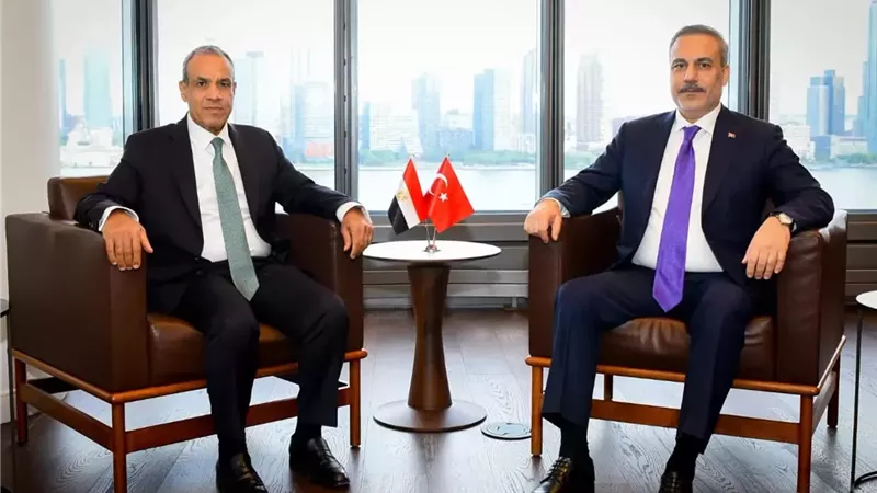 الدكتور بدر عبدالعاطي