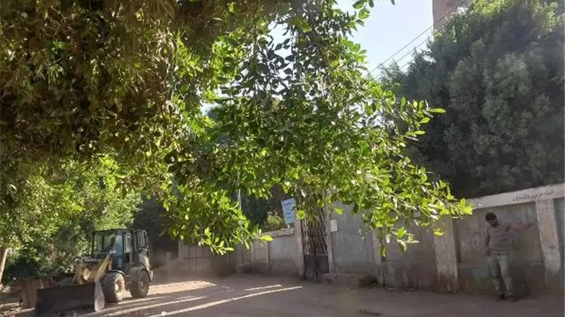 بوابة الجمهورية