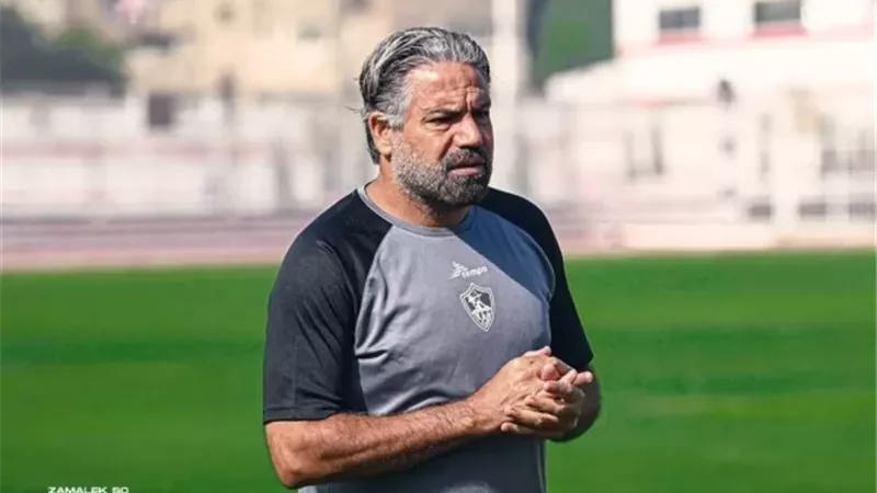 مدحت عبدالهادي