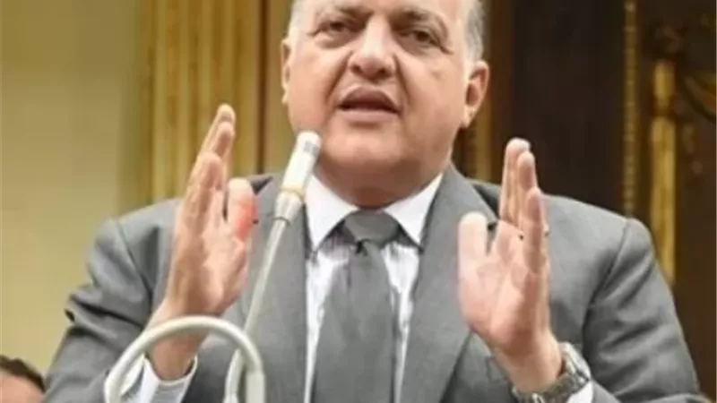 النائب طلعت السويدي،