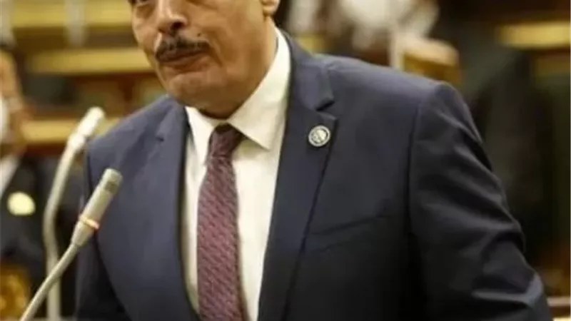 النائب أشرف أمين