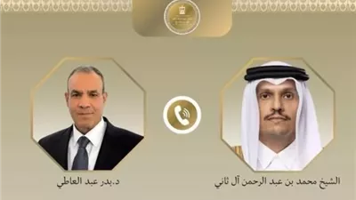 وزير الخارجية يحذر من استخدام الممرات البحرية كورقة ضغط أو مساومة