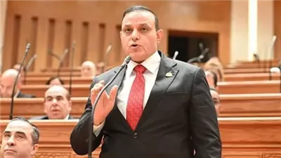 برلماني: توجيهات الرئيس السيسي تعزز جهود تعظيم الاستفادة من مقدرات الدولة