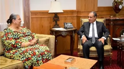 وزير الخارجية يبحث مع المبعوثة الأممية إلى ليبيا مستجدات العملية السياسية