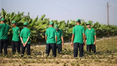 طلاب مدارس مستقبل مصر يبدأون رحلة الخبرة العملية من السنة الأولى