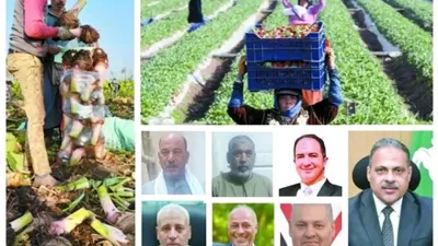 المنير.. قلعة القلقاس والفراولة في الشرقية