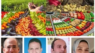 مصر على خريطة الغذاء العالمية