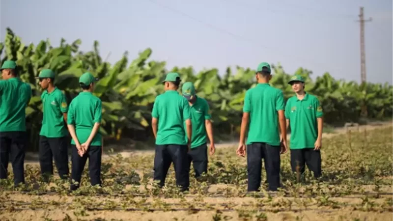 بوابة الجمهورية