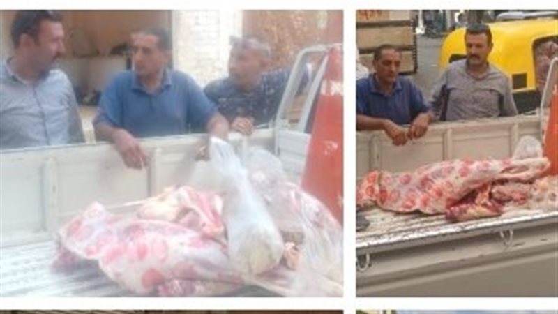 حملات الوحدات المحلية والتموين بالمنوفية