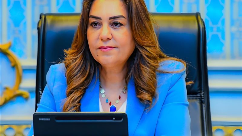 الدكتورة منال عوض وزيرة التنمية المحلية والبيئة