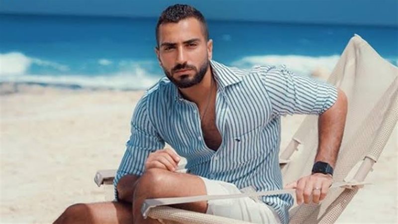 محمد الشرنوبي